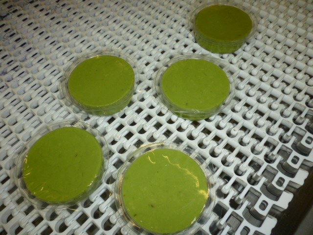 Aguacate empacado en porción